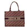 Christian Dior Book Tote