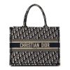 Christian Dior Book Tote Blue