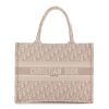 Christian Dior Book Tote Rose Des Vents