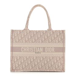 Christian Dior Book Tote Rose Des Vents