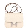 Hermes Constance 18 Nata Ostrich Palladium Hardware