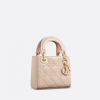 Mini Lady Dior Bag Aesthetic Calfskin