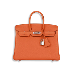 Hermes Birkin 25 Orange Togo Palladium Hardware