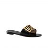 Dior Black Leather Diorevolution Flat