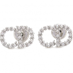 Dior Clair D Lune Earrings